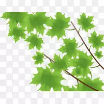 枫叶绿色-枫叶弹簧材料面板