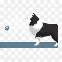 边境牧羊犬繁殖宠物动画-动物宠物狗可爱的家庭动画