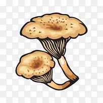蘑菇菌类.手绘蘑菇