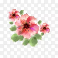 粉红花卉剪贴画.水彩画