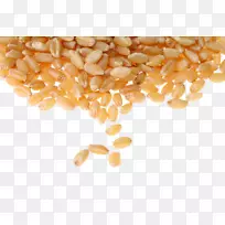 普通小麦谷类全粒小麦浆果粮-小麦粒图