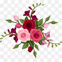 玫瑰花红花图案手绘红花花瓣