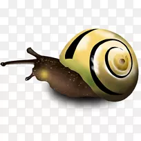 蜗牛正交圈-手拉蜗牛拉创意HD免费