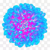 浅蓝花-冷蓝花顶视图
