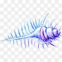 海螺-蓝色卡通手绘美丽的海螺