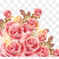 玫瑰皇室-免费摄影剪贴画-浪漫情人节玫瑰