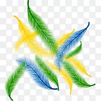 羽毛黄-色彩鲜美的羽毛