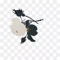 玫瑰剪贴画-涂黑玫瑰