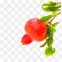 巴巴多斯樱桃石榴摄影-红色石榴