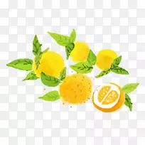 食物水彩画海报-橙色