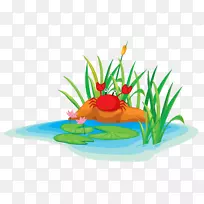 食用青蛙卡通插图.河岸上的螃蟹