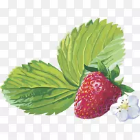 麝香草莓amorodo剪贴画草莓果实