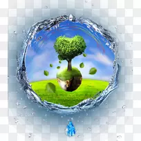地球上的树-水中的树木