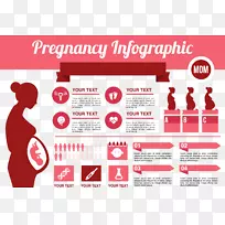 信息图表怀孕分娩.孕妇信息数据ppt材料