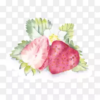 绘画下载插图-小手绘水彩新鲜草莓水果