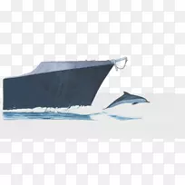 船头船首海豚插图-蓝色船画风格