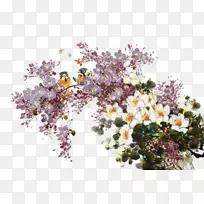 花鸟画紫色艺术-紫鱿鱼