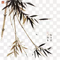曲江安化发酵茶新茶防竹林绿风竹装饰图案
