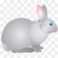 国内兔子复活节兔子卡通-休息兔