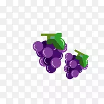 葡萄紫色-简单手绘小鲜紫葡萄