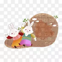 兔山野兔东部棉尾摄影-可爱的兔子