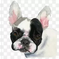 法国斗牛犬小狗水彩画-黑色斗牛犬
