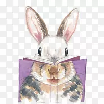 水彩画兔子艺术家-兔子阅读