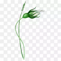 谷歌图片下载手绘绿花骨