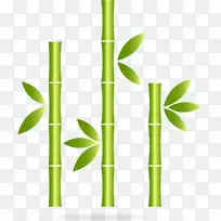 竹绿色图标-装饰图案绿竹植物