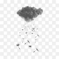 普通蒲公英纹身雨云画墨云