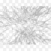白色细枝对称结构图案几何线的技术意义