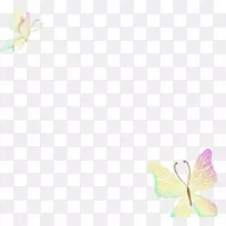 花瓣图案-蝴蝶