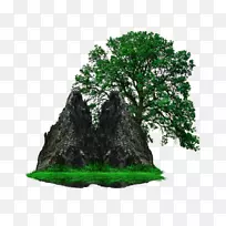 白橡树原料摄影免版税剪贴画绿色简单树石装饰图案