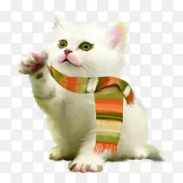 贺卡生日假日新年笑脸-可爱的猫