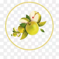 苹果奥格里斯图标-绿色简单的苹果装饰图案