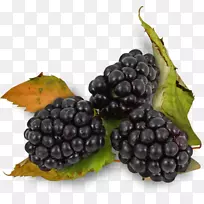 [医]黑莓-紫桑树(Blackberry Auglis Rubus Ulmifolius)