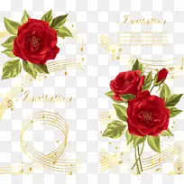 音乐音符玫瑰摄影.欧式玫瑰和音符