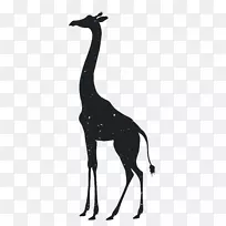 长颈鹿虎轮廓动物画动物轮廓