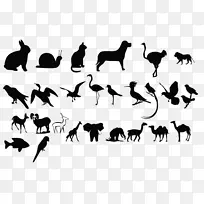 黑白动物海报-动物轮廓