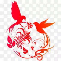 鸟类模版剪影.手绘葡萄轮廓图像