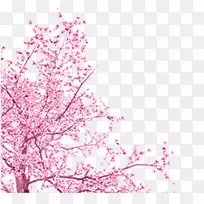树木剪贴画.手绘樱桃树