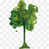 水彩画树-水彩树设计