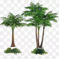 槟榔、棕榈、槟榔科树、玻璃纤维-模拟植物树
