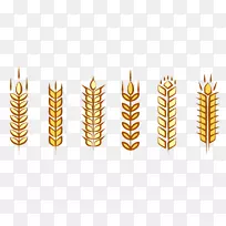 玉米小麦穗-稻条图