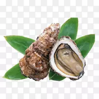 牡蛎海产贝类食品