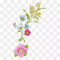 花卉设计水彩画.彩色花卉装饰材料