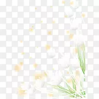 白花图案-白花装饰图案