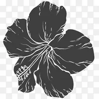 黑白花-手绘花卉图案