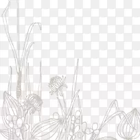 线描.线描花卉材料
