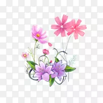花紫罗兰-花枝